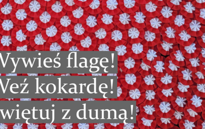 Zdjęcie do Wywieś flagę! Weź kokardę! Świętuj z dumą!