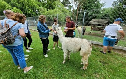 Zdjęcie do Dzieci z Zespołu Szk&oacute;ł Specjalnych w Śremskim ZOO