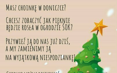 Zdjęcie do Podaruj drugie życie świątecznej choince