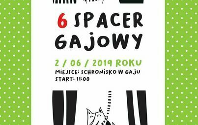 Zdjęcie do Zaproszenie na VI Majowy Spacer Gajowy