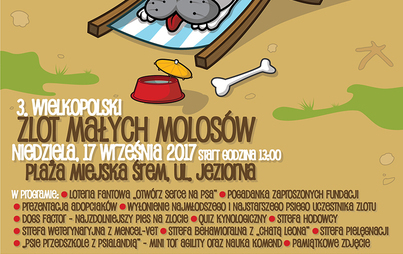 Zdjęcie do 3 Wielkopolski Zlot Małych Molos&oacute;w