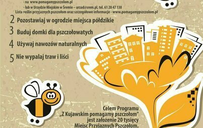 Zdjęcie do Gmina Śrem Przyjazna Pszczołom