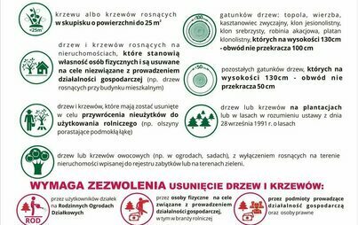 Zdjęcie do Zmiany w zezwoleniach na wycinkę drzew i krzew&oacute;w