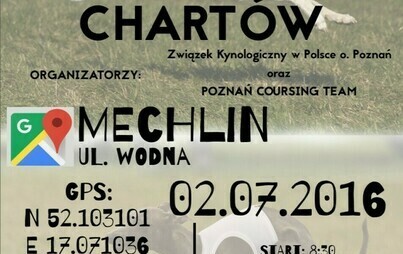 Zdjęcie do Międzynarodowe Wyścigi Chart&oacute;w