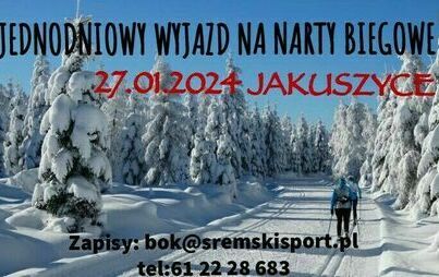 zaśnieżony las