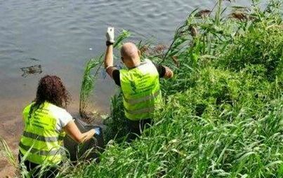 Wojewódzki Inspektorat Ochrony Roślin i Nasiennictwa w Poznaniu informuje 