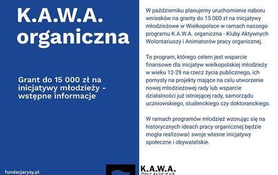 Zdjęcie do Granty do 15 000 zł dla młodzieży z Wielkopolski &ndash; rusza Fundusz Młodzieżowy