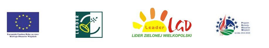 logotypy-lider-leader-07-2023