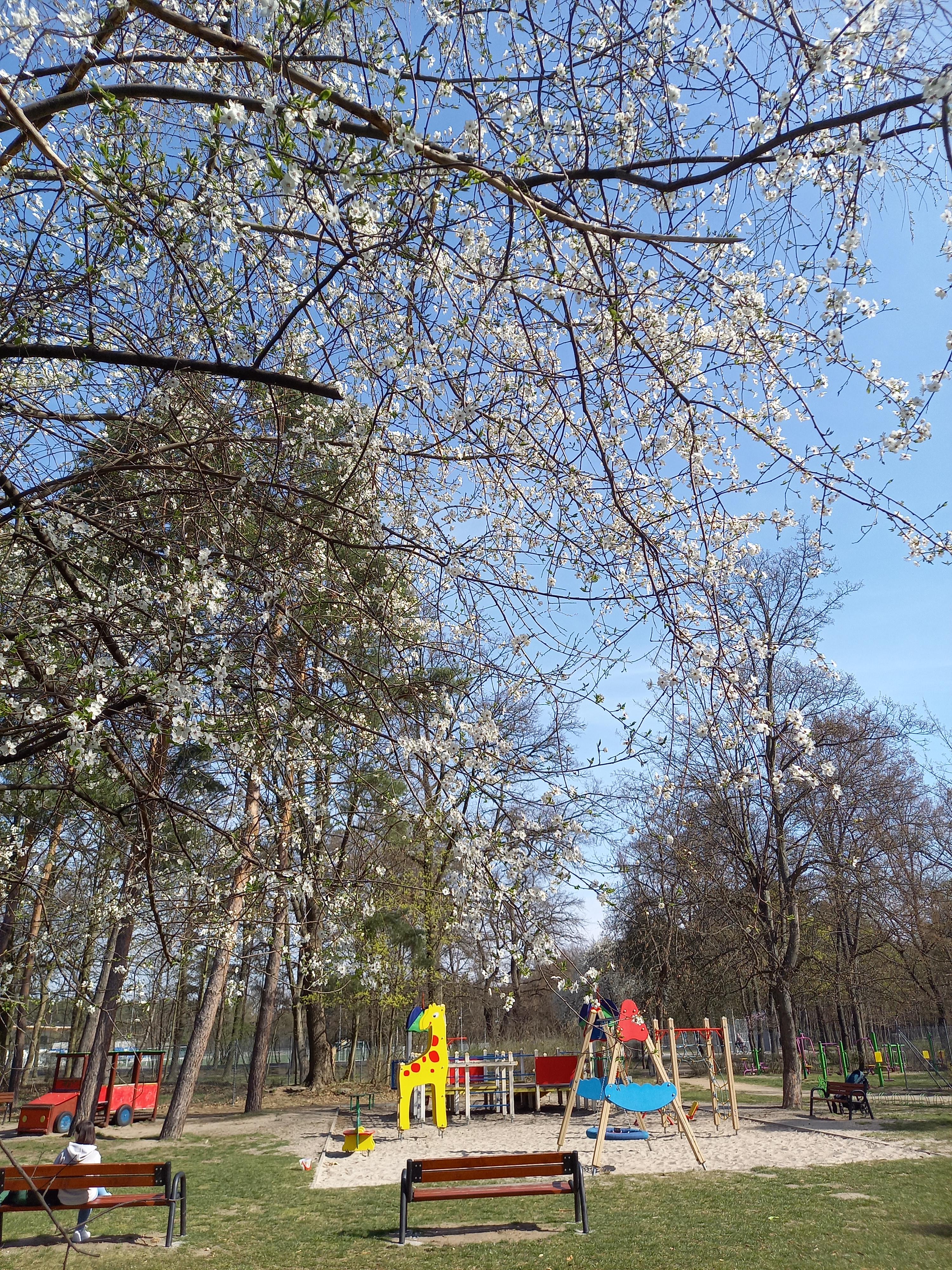 park