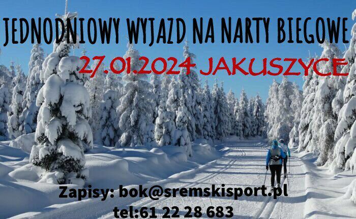 las w&nbsp;śniegu