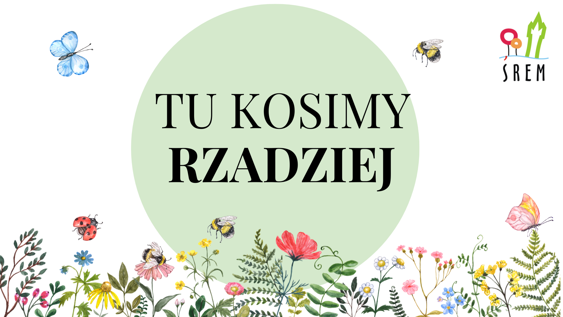 Łaka-Kwietna-Kosimy-rzadziej-(1).png