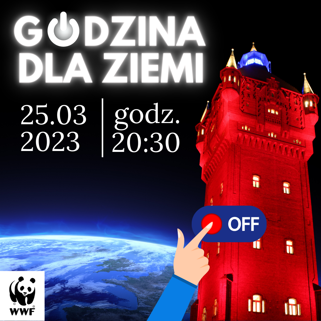 Blue-Simple-Earth-Hour-Instagram-Post-(1).png