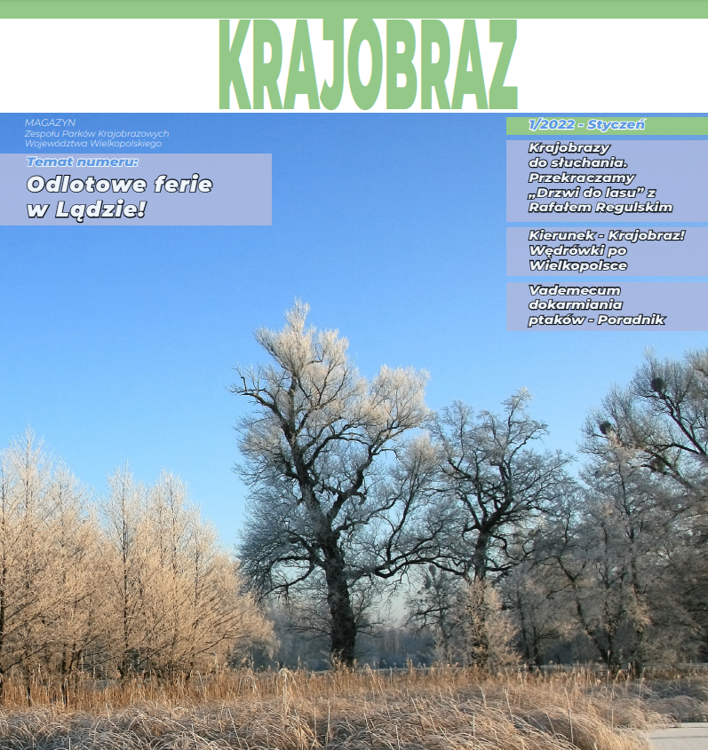 krajobraz.png