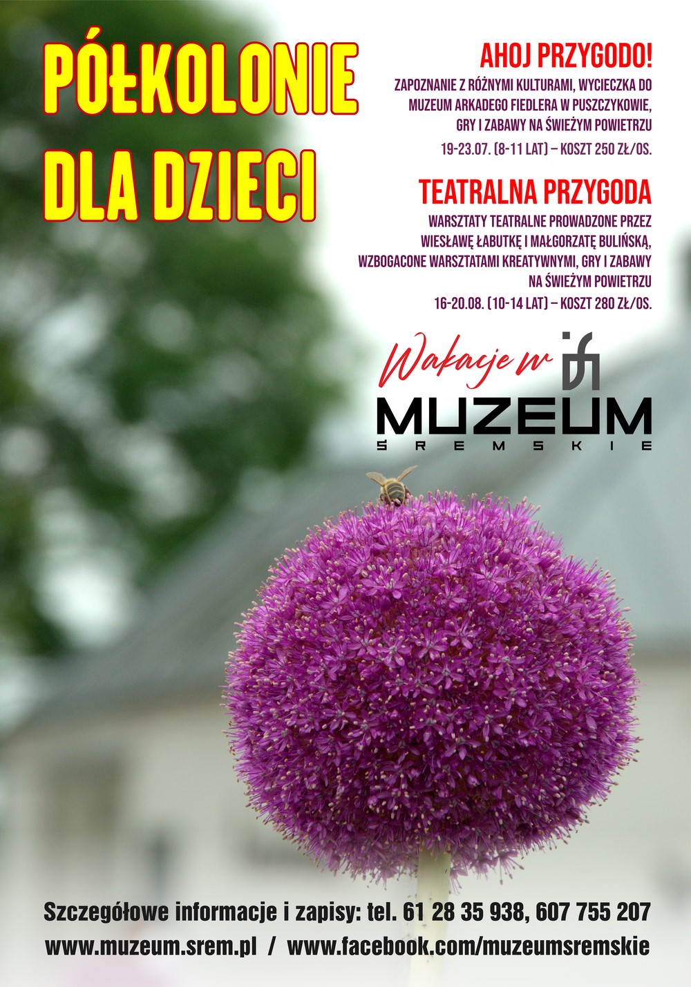 plakat-połkolonie-muzeum.jpg