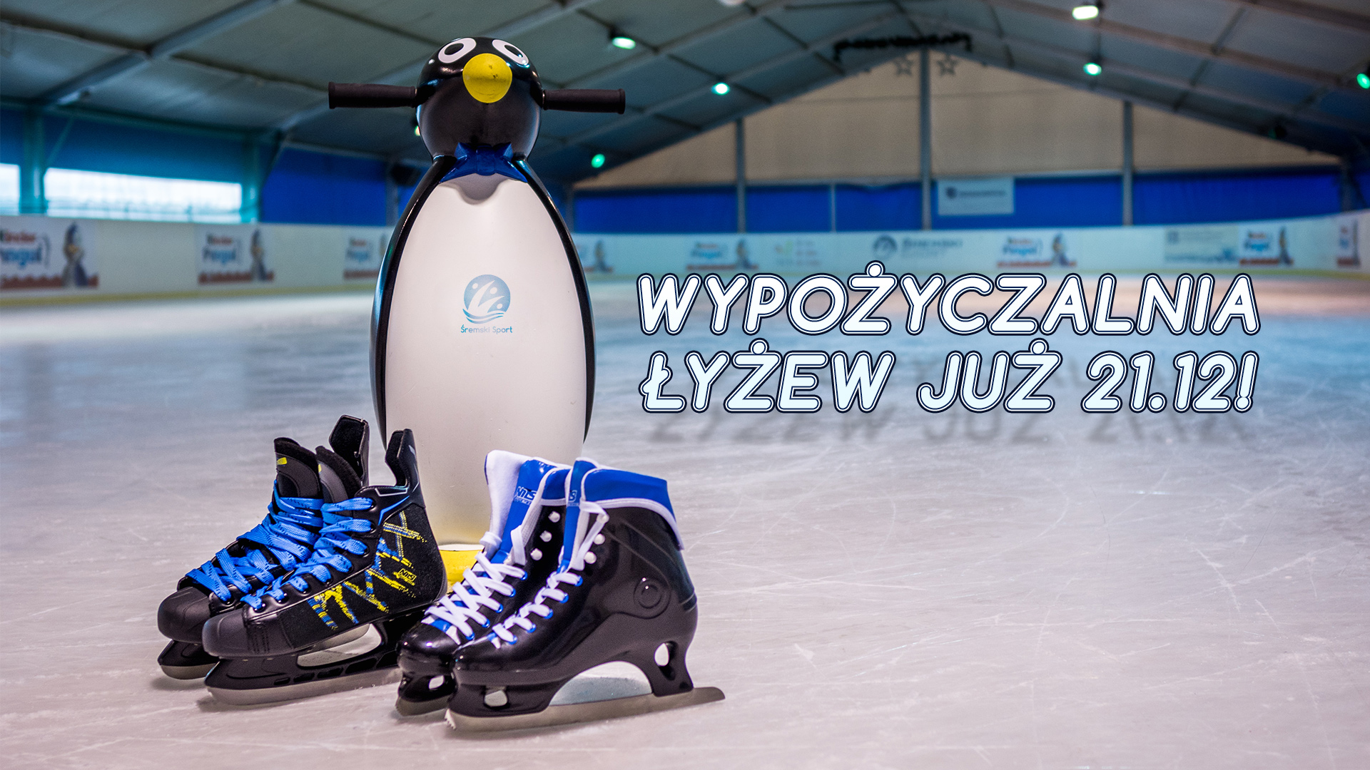 wypozyczalnia.jpg