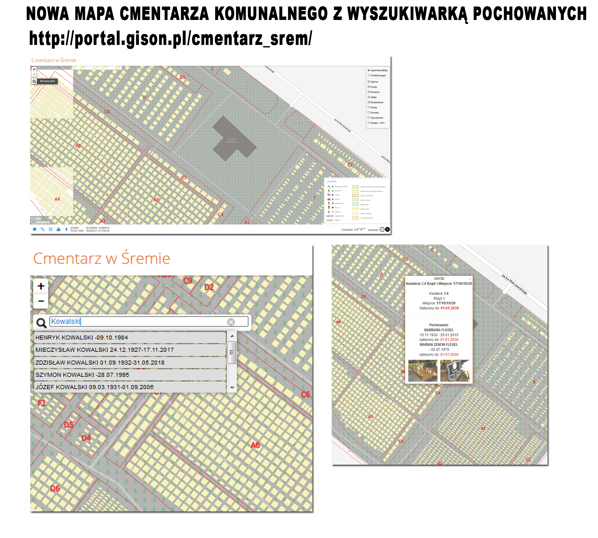 grafika.jpg
