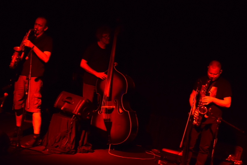 dsc_0249.jpg