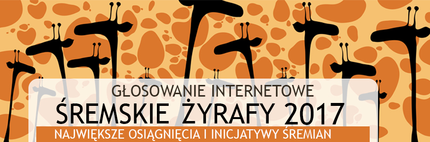 głosowanie-internetowe2017.jpg