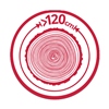 120s.jpg